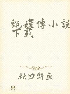 甄嬛传小说全集下载