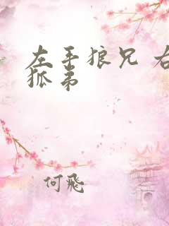 左手狼兄 右手狐弟