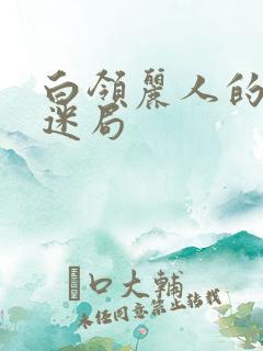 白领丽人的危情迷局