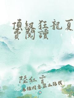 顶级狂龙夏天免费阅读