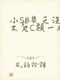 小SB几天没做又欠C顾一成视频