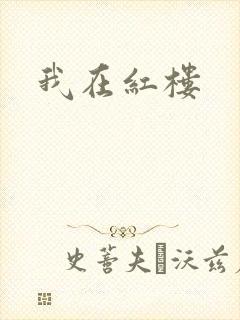 我在红楼