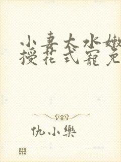 小妻太水嫩陆教授花式宠免费阅读 小说