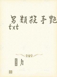 另类杀手艳福星txt