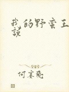 我的野蛮王妃小说