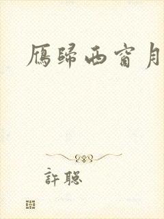 雁归西窗月小说