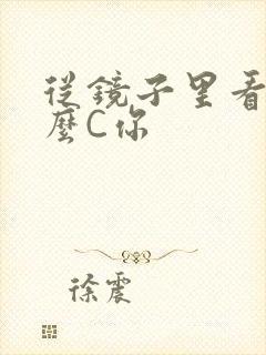 从镜子里看我怎么C你