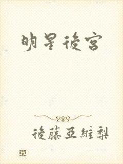 明星后宫