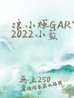 浪小辉GARY2022小蓝