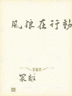 风狼在行动