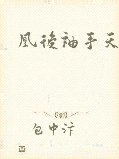 凰后袖手天下