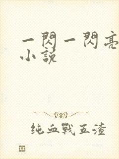 一闪一闪亮晶晶小说