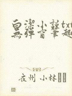 白洁小说txt无弹窗笔趣阁