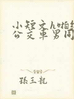 小短文h啪纯肉公交车男同