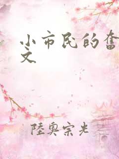 小市民的奋斗燃文