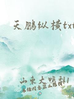 天鹏纵横txt