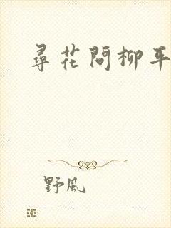 寻花问柳平天下