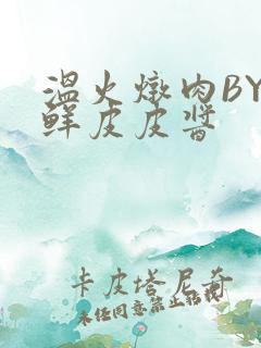 温火炖肉BY海鲜皮皮酱