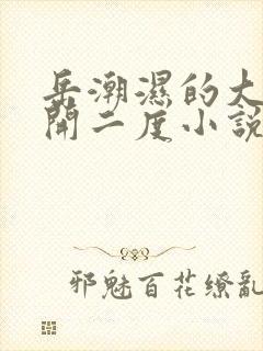 岳潮湿的大肥梅开二度小说