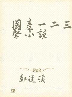 国产一二三区有声小说