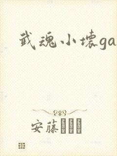武魂小坏ga