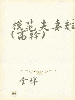 模范夫妻离婚了(高干)