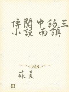 传闻中的三公主小说 南镇