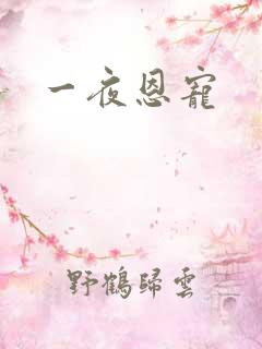 一夜恩宠