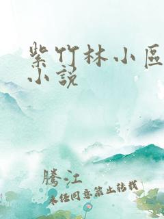 紫竹林小区快递小说