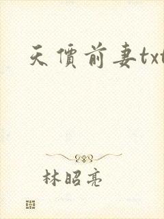 天价前妻txt