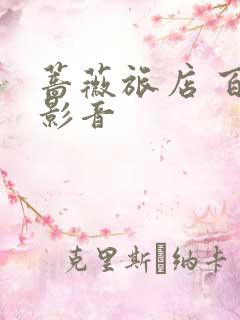 蔷薇旅店 百度影音