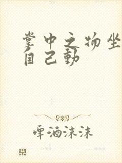 掌中之物坐上来自己动