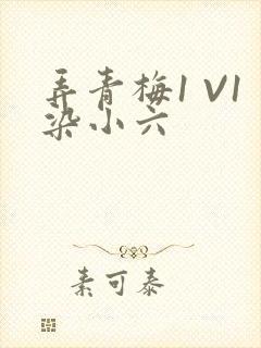 弄青梅1 V1染小六