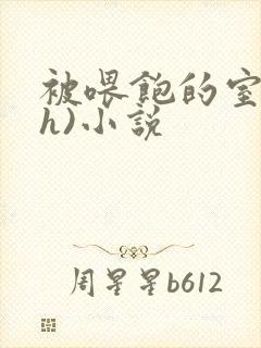 被喂饱的室友(h)小说