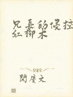兄长的侵控by红柳木