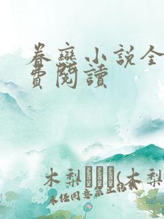 眷恋小说全文免费阅读