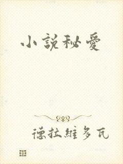 小说秘爱
