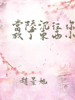 当陆沉往你里面放了东西小玩具