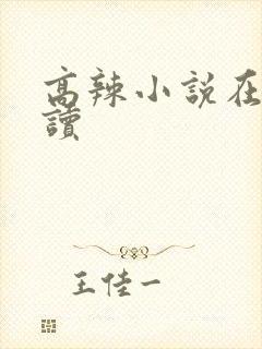 高辣小说在线阅读