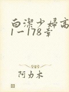 白洁少妇高义第1一178章