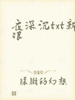 夜深沉txt新浪