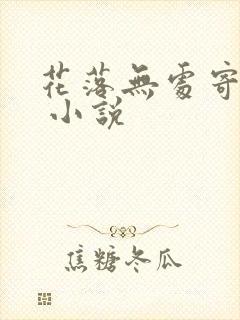 花落无处寄相思 小说