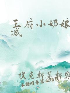 王府小奶娘未删减