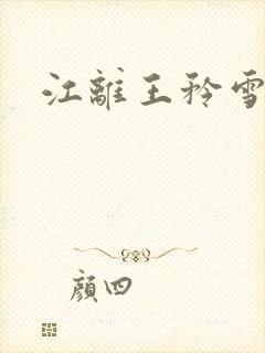 江离王矜雪小说