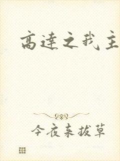 高达之我主沉浮