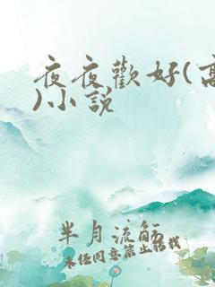 夜夜欢好(高h)小说