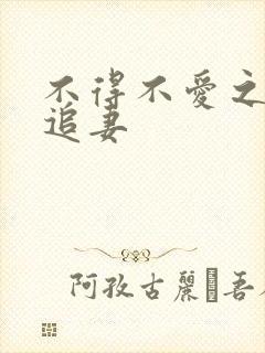 不得不爱之冷少追妻