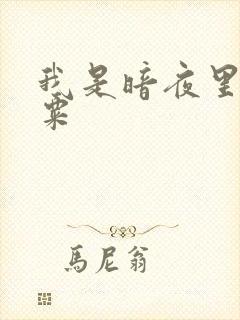 我是暗夜里的罂粟