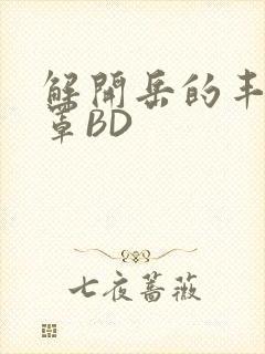 解开岳的丰满奶罩BD