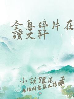 全息碎片在线阅读文轩